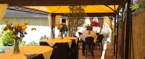 Pavillon im Aareblick