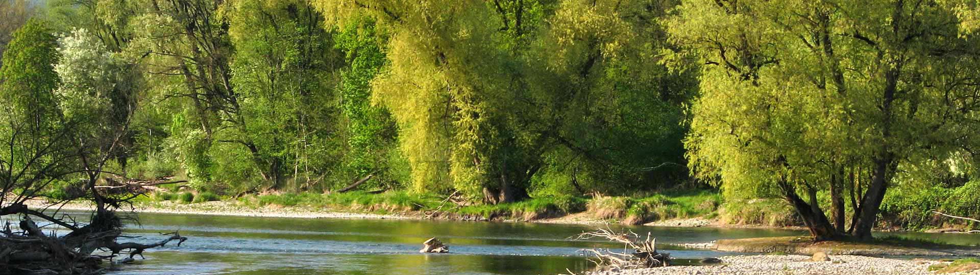 Aare-Naturschutzgebiet